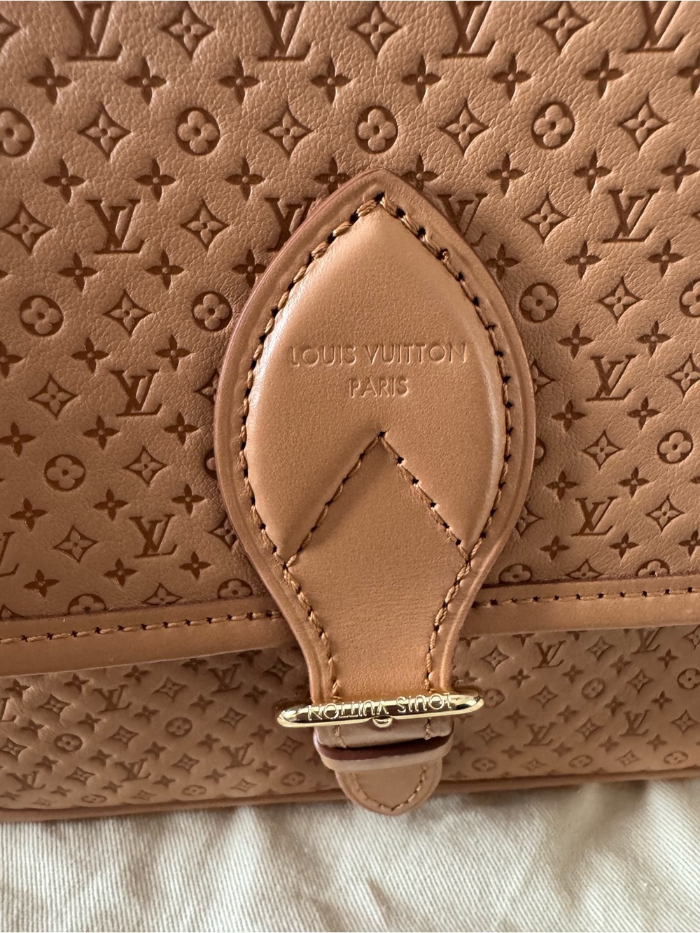 NWT Louis Vuitton Diane Hazelnut Mini Monogram  Leather Shoulder/Crossbody Bag - Picture 5 of 13